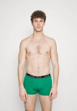 Pier One 5 PACK - Panties - Beige/green/bordeaux